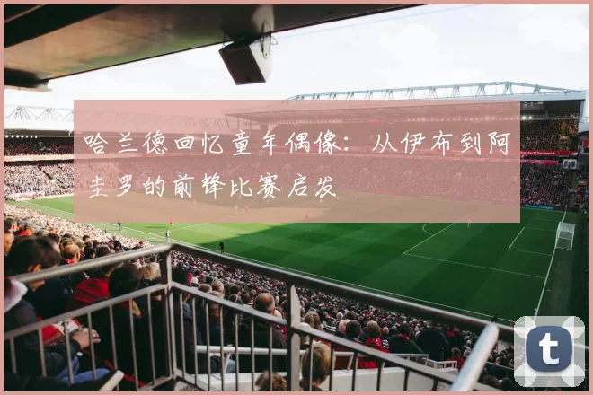 哈兰德回忆童年偶像：从伊布到阿圭罗的前锋比赛启发