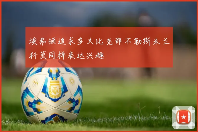 埃弗顿追求多夫比克那不勒斯米兰科莫同样表达兴趣