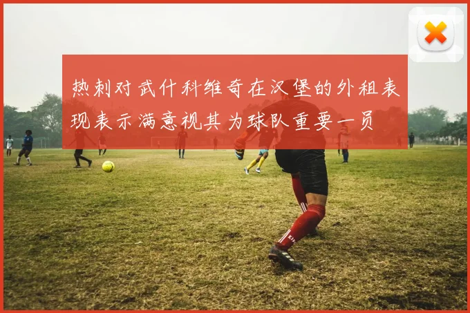 热刺对武什科维奇在汉堡的外租表现表示满意视其为球队重要一员